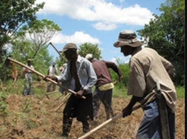Haïti-Social: Insécurité foncière dans le Nord-est, des paysans appellent à l’aide des autorités