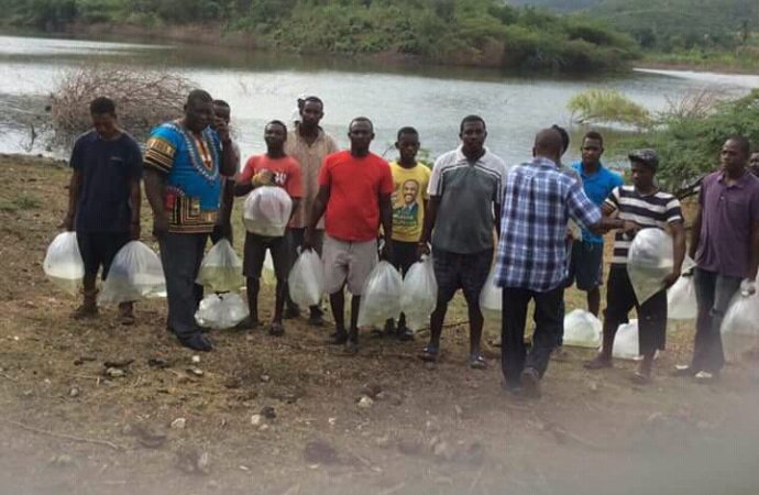 Nippes-Pêche : des milliers alevins lâchés dans l’étang de l’Anse-à-Veau