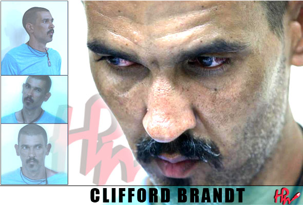 Haïti-Justice: Clifford Brandt avoue avoir kidnappé les enfants Moscosso