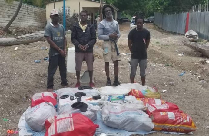 4 Jamaïcains arrêtés en possession de 174,77 kg de Marijuana à Petite rivières des Nippes