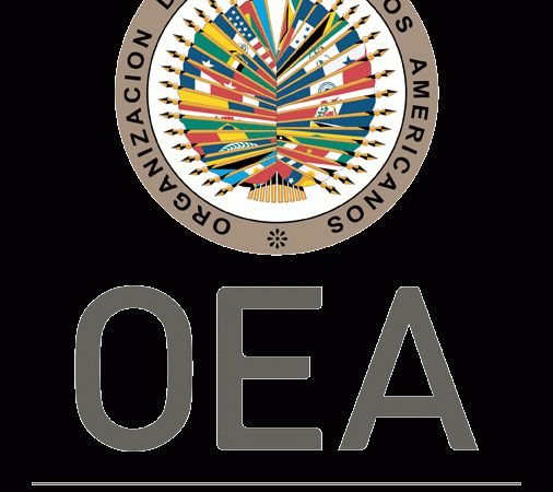 La mission de l’OEA reçue par Haïti n’était pas déléguée par le conseil permanent