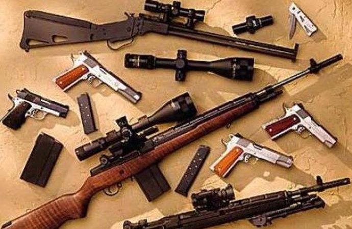 Le Sénat de la République adopte une loi sur le contrôle des armes
