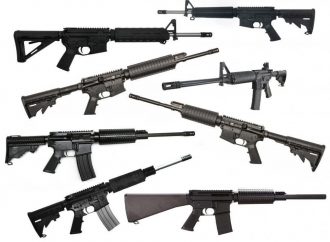 Disparition de 50 fusils T-65 au Palais national, le Parlement ouvre une enquête