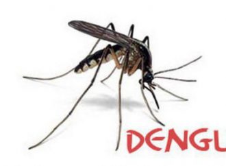 Haïti-Santé: 18 cas de fièvre dengue recensés par le MSPP