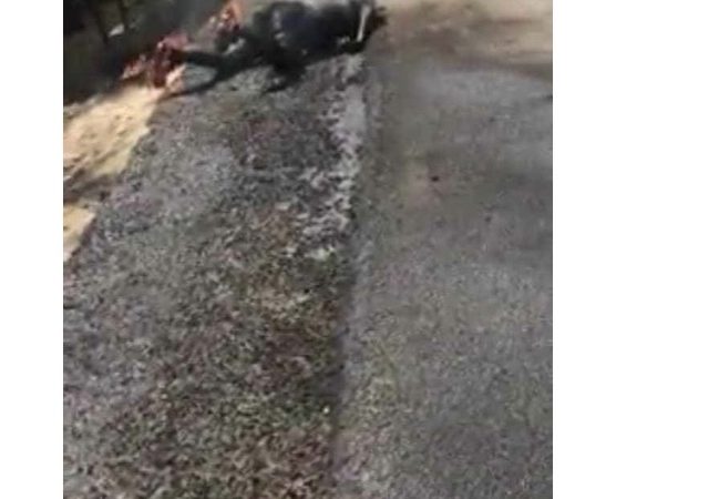 Ouanaminthe: deux personnes brûlées vives en transportant du carburant à moto