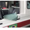 Attaque contre une ambulance, le MSPP s’insurge