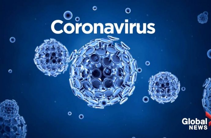 Coronavirus: un 3ème membre du gouvernement français testé positif
