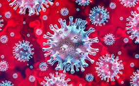 21 cas du coronavirus  officiellement enregistrés