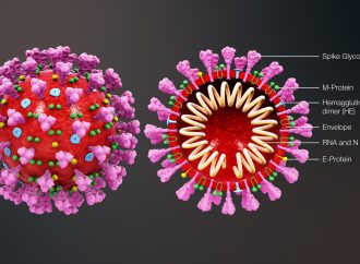 Coronavirus: 2 nouveaux cas détectés