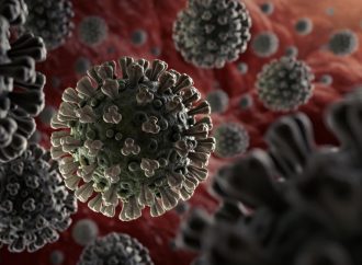 Coronavirus: 24 personnes sont testées positives en Haïti