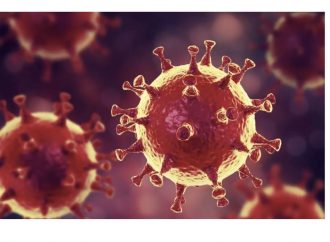 Coronavirus: 72 cas officiellement enregistrés  en Haïti