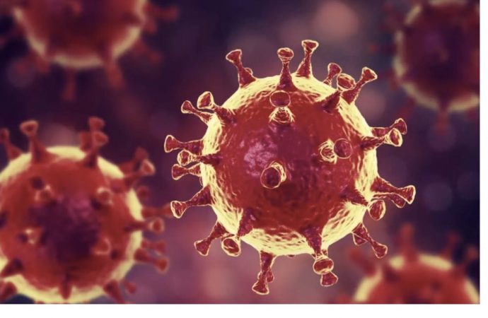 Coronavirus: 72 cas officiellement enregistrés  en Haïti