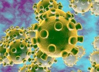 Haïti-Coronavirus: un nouveau cas confirmé, 31 au total