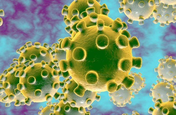 Haïti-Coronavirus: un nouveau cas confirmé, 31 au total