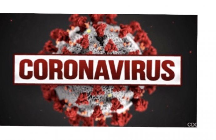 Coronavirus : Haïti compte 4547 cas de contamination, 80 décès