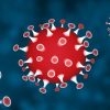 Coronavirus : 61 nouvelles personnes infectées, 4 décès