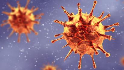 Coronavirus : 31 nouvelles contaminations, 7371 au total