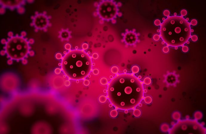 Coronavirus: Plus de 7000 contaminations, 157 morts