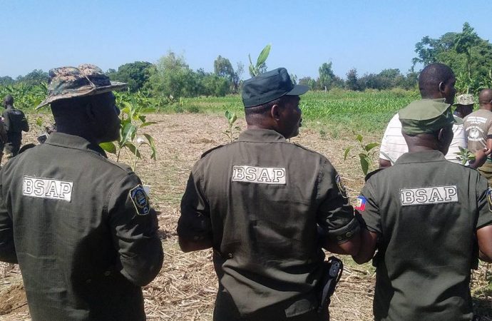 Cap-Haïtien : un agent de la BSAP libéré de force par ses collègues