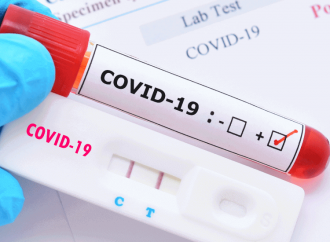 Coronavirus : un mort et 31 nouveaux cas confirmés