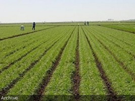Agriculture : le projet AREA touche à sa fin