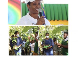 Reboisement : Martine Moïse s’engage dans la plantation d’arbres fruitiers