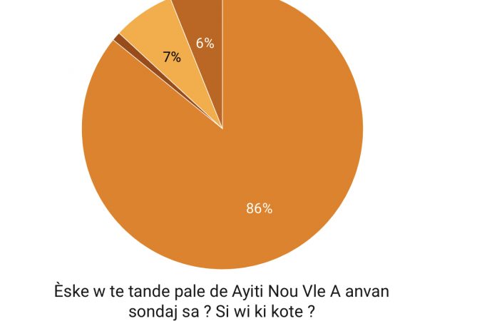 Ayiti Nou Vle-Sondage : 86% de citoyens favorables à une nouvelle constitution, 60% prêts à voter
