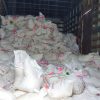 Le FAES procède à la distribution de kits alimentaires et de rations sèches aux habitants du Nord