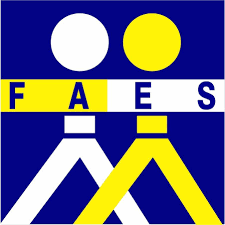 Utilisation malveillante du logo du FAES et imitation de la signature du DG par un faussaire