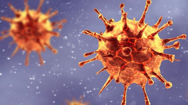 Coronavirus : Le MSPP enregistre 319 cas en 48 heures