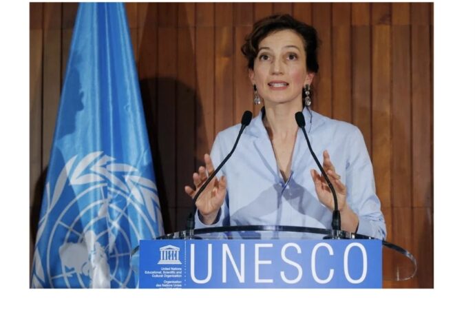 L’UNESCO condamne les meurtres Diego Charles et de plusieurs autres personnes, exige une enquête