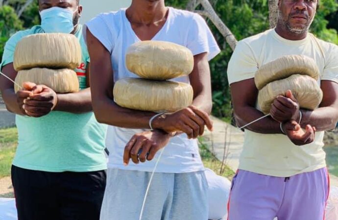 Trafic illicite de stupéfiants : 3 jamaïcains arrêtés, 635 kilos de marijuanas saisis
