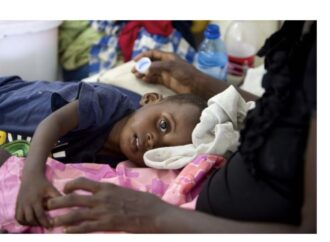 Résurgence du choléra : « Zanmi Timoun » redoute une catastrophe semblable à celle de 2010