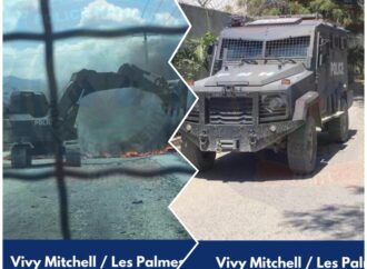 Vivy Mitchell : la Police annonce un retour au calme après une attaque armée