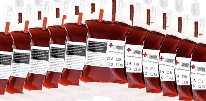 MSPP : des pochettes de sang contaminées au virus du SIDA saisies dans la zone frontalière